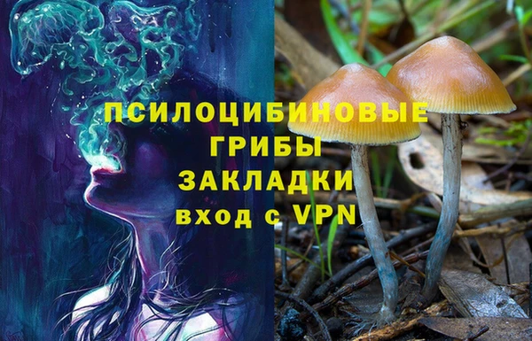 apvp Армянск